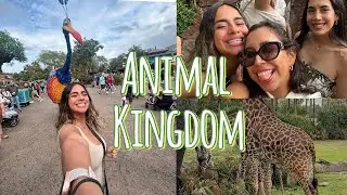 Animal Kingdom