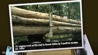 Danum Valley - Sabah, Malaysia