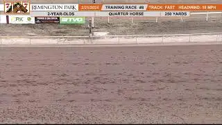 RaceView Network