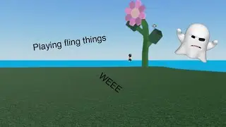 PLAYING FLING THINGS