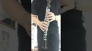 Wolfgang dietz，reform boehm clarinet
