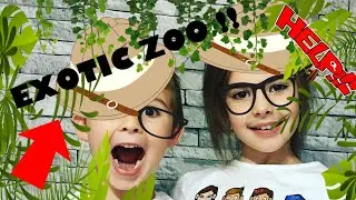 KIDS VISIT EXOTIC ZOO TELFORD