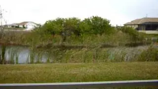 Fresh water Canal home Cape Coral Florida