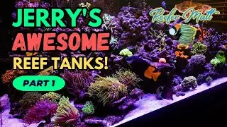 Jerry's Awesome Reef Tanks! Part 1
