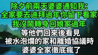 除夕前兩天婆婆通知我：全家要去迪拜過年，你留下看家。我沒鬧轉身回娘家過年，等他們回來後看見，被水泡爛的家和離婚協議時，婆婆全家徹底瘋了#完結故事#情感故事#爽文#婆媳關系#家庭生活#故事頻道