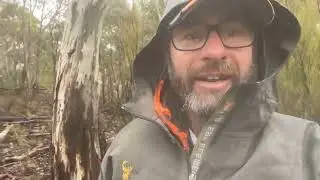 PROMO TEASER! - 6 days behind the gates #SAMBARDEER 