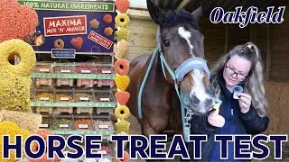 THE ULTIMATE HORSE TREAT TEST! Maxima Mix 'n' Munch!