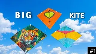 🪁 How to Fly Big Kites like a Pro! | बड़े पतंग कैसे उड़ाएं 🪁