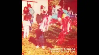B19