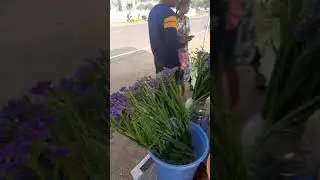 Port Blair flower mela