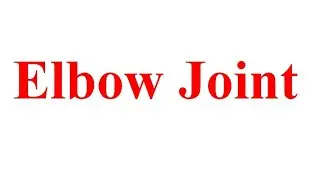 Elbow Joint