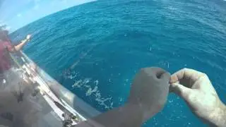 Captian's Choice - Key Largo, FL