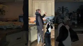 Вы совершили или планируете безумный поступок?!