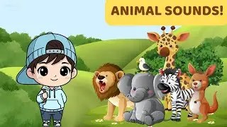 Animal Sounds for Kids 🐶🐱🐮 | Learn Animals for Preschool & Toddlers