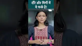 Seizure और Epilepsy में क्या Differences हैं? #Sehat #ltsehat