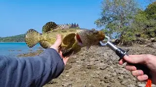 Grouper Fishing on Island in Thailand - Koh Lanta