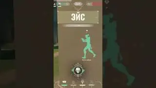 Ace!!! #shorts #valorant #gaming #ace #sports #proplayer #fast