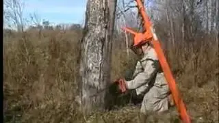 Norwood TimberTool Tree Felling Jack