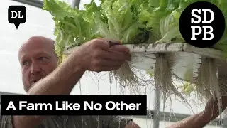 Hydroponic Farming at Prairie Lane Farms | Dakota Life