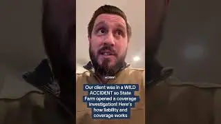 State Farm investigates coverage for a wild accident!