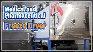 Medical and Pharmaceutical Freeze Dryer - LABOAO