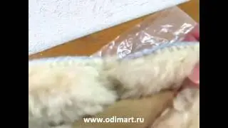 www odimart ru УГИ ЖЕНСКИЕ