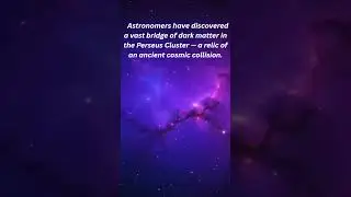 A Dark Matter Bridge in the Perseus Cluster -2