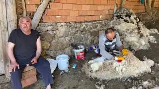 KOYUN KIRKIMI 2