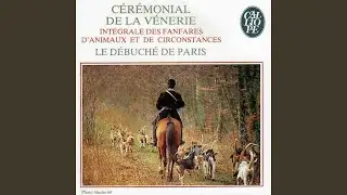 Le sanglier - Le grand sanglier - La laie - Le ragot - Le loup - Le louvart