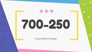 700-250 Cisco Small and Medium Business Sales Exam Updated Questions