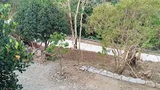 🏡 Buhay Farm sa Pilipinas: Turod Farm Journey &ndash; Sundan ang Pag-Unlad! 🌱🐓