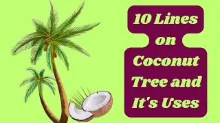 10 Lines on Coconut Tree and It's Uses/Few Lines on Coconut Tree in English/Uses of Coconut Tree