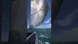 Live a true sailing experience on board a Windelo