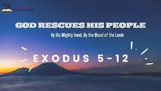 Rescue||Exodus 5-12||In Four Minutes||#short #talks