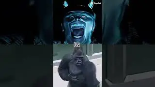 Uncle Samsonite #vs gorilla (prime) #unclesamsonite #battle #edit