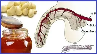 Why Garlic and Honey Good for Men Garlic Health Benefits Raw Honey Benefits  - Activebeat