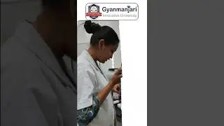 🔬✨ Hands-On Training for PGDMLT at Gyanmanjari Innovative University!  🔎🧪