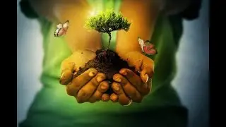 Rituel chamanique avec l'esprit de la terre, musique d'ancrage et de gu&eacute;rison,