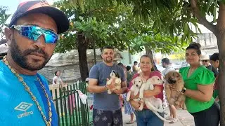 FEIRA DE CACHORRO DA MADALENA VEJA QUAL E O SEU CACHORRO PREFERIDO 