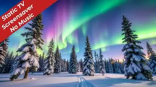 🌌 Northern Lights Winter Forest | Static TV Screensaver 4K ❄️✨