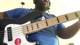 Squier Contemporary Jazz Bass 5  with nordstrand fat stacks
