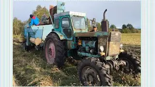 Картопля 🥔 2025 рік. Т-40АМ 