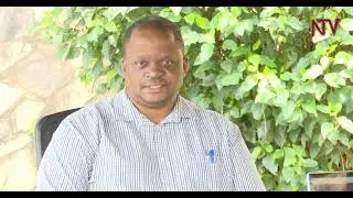 Growing classical music in Uganda | MORNING AT NTV