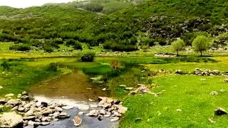 Şebinkarahisar - Turpçu Köyü - Yedi Gözeler