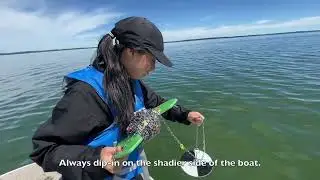 How to Take a Secchi Depth