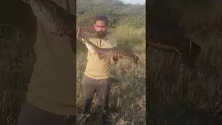 #best marralfishing #shortvideo #fishing #viralvideo #imranfishing