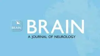 Brain app