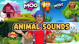 Animal Sounds Song 🐻🐸🐮🦉 | Learn Animal Sounds with Teacher K Show