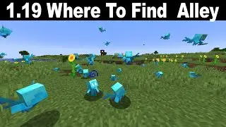 Where To Find Allay | How To Find Allay | Minecraft 1.19