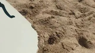 7 from Hong Kong Victoria skimboards